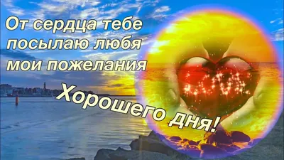 Зимние картинки: Доброго Дня! (177 шт.)