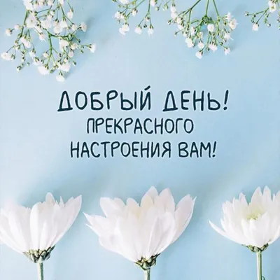 13 ноября – очень добрый день, Всемирный день доброты - Иркутский городской  перинатальный центр имени Малиновского М.С.