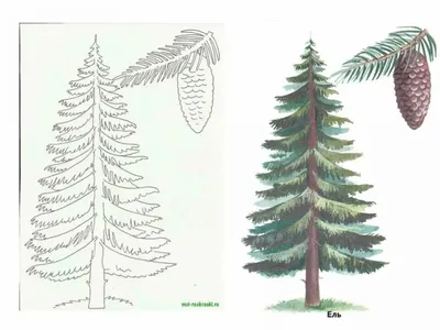 Ель искусственная Greentrees Россо Премиум 300-456 180 см голубая - купить  в Москве, цены на Мегамаркет