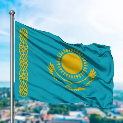 Флаг Казахстана 90х135 см флаги стран мира на стену Заверните! 13681029  купить за 835 ₽ в интернет-магазине Wildberries