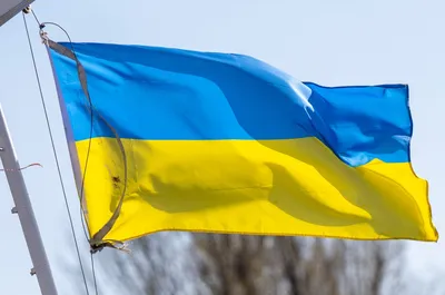 Флаги Украины в Нижней Саксонии в годовщину войны