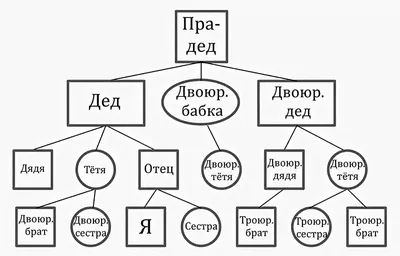 шаблон | Генеалогическое древо, Семейное дерево, Семейное дерево шаблоны