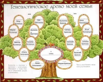 Генеалогическое семейное древо Плакат детский на стену Gift Development  18095638 купить за 392 ₽ в интернет-магазине Wildberries