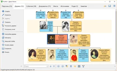 Древо Жизни – программа для построения генеалогических деревьев | 