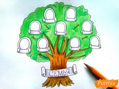 Генеалогическое древо Генеалогия Листья большого дерева PNG , генеалогия,  Большое дерево, Листья PNG картинки и пнг PSD рисунок для бесплатной  загрузки
