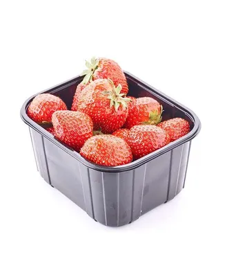 Клубника Квики Strawberry Quicky - купить саженцы ягодных культур с  доставкой по Украине в магазине Добродар