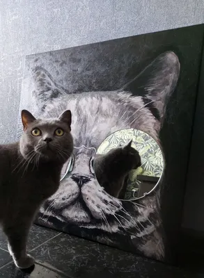 Картина "кот в очках" с зеркалами в интернет-магазине Ярмарка Мастеров по  цене 7500 ₽ – TDGCARU | Картины, Кропоткин - доставка по России