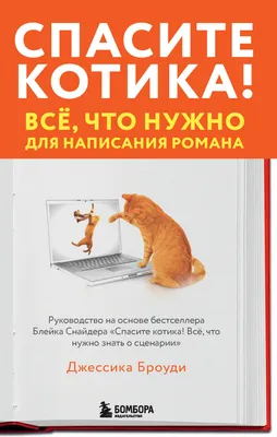 Миллион фотографий кота Котика ч 45 | Пикабу