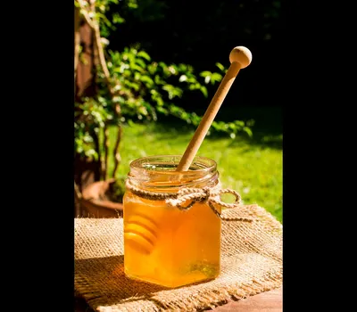 Мед из цветков молочая: уникальность продукта | Блог интернет-магазина «Мед  России»