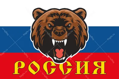 Картинку медведя на фоне флага россии картинки