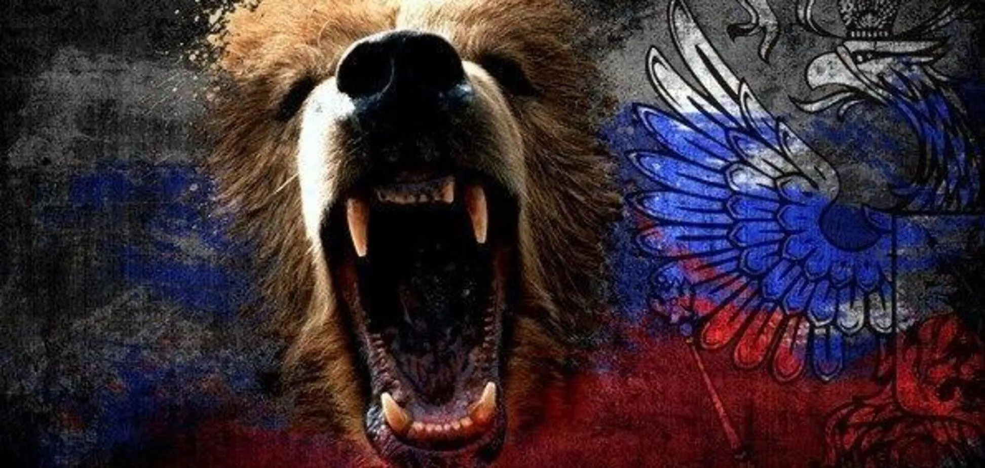 Тема русский медведь. Русский медведь. Русский флаг с медведем. Оскал медведя. Медведь Россия картинки.