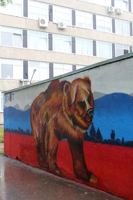 Русский медведь обои - 31 фото