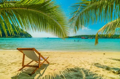Природа тропический пляж море. красивый пейзаж, солнечная лагуна, пальмы,  идиллический вид на летнее путешествие | Премиум Фото