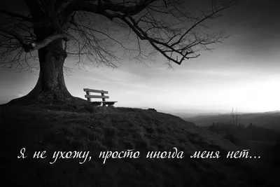 Сегодня меня нет. Сборник стихотворений. Ивакина А. С. (4458503) - Купить  по цене от  руб. | Интернет магазин 