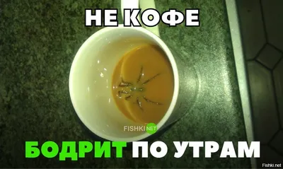 Не кофе бодрит по утрам