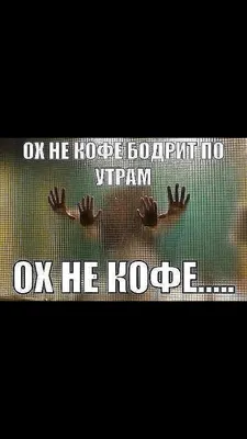 Ох, не кофе бодрит по утрам... Ох не кофе! | Пикабу