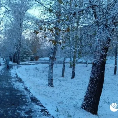 В России выпал первый снег: Край: Среда обитания: 