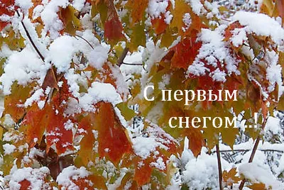 Файл:Первый снег (Шишкин).jpg — Википедия