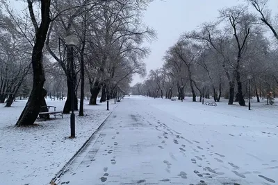 В Ноябрьске выпал первый снег