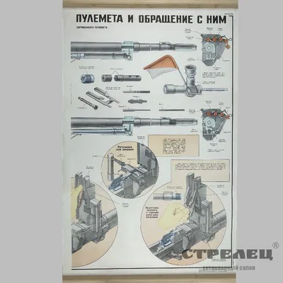 Первый контейнерный терминал (ПКТ): Кто оплатит перегруз? - Транспортная  компания Союзхимтранс-Авто