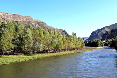Река Дема – ТерраБашкирия
