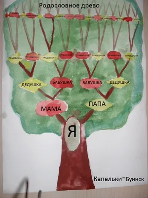 Картинки генеалогическое древо семьи (41 фото) » Картинки, раскраски и  трафареты для всех - 