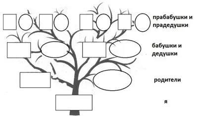 Родословное дерево шаблон - 72 фото