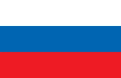 На Камчатке отмечают День флага России - 