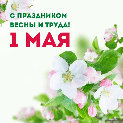 1 мая!