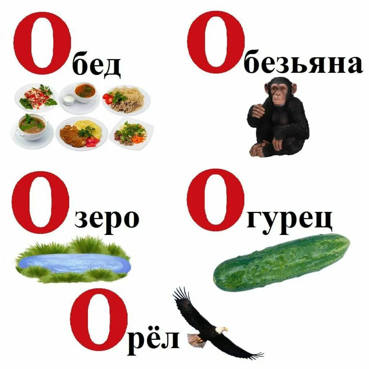 Слово начинается на буквы та. "Буквы и слова". Слова на букву и для детей. Слово. Слова на букву а в начале слова.