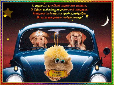 Удачи на дорогах, автомобилист! | Педагогическое интернет-сообщество  УчПортфолио.ру