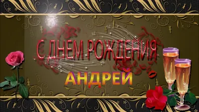 С Днем Рождения Андрей Николаевич!