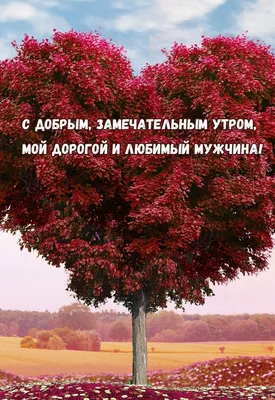 Красивые пожелания с добрым утром: стихи, проза, открытки - МЕТА