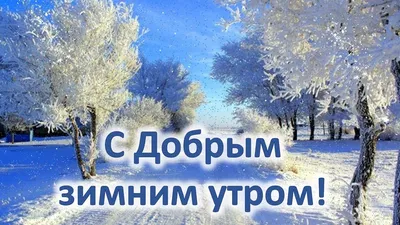 ❄️⛄😍 Картинки с добрым зимним утром (330 шт.) | Картинки, Фотографии для  мотивации, Доброе утро