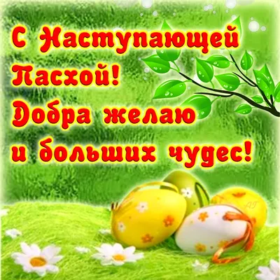 С наступающей Пасхой! Пусть в светлый Пасхальный праздник в Ваш дом войдет  весеннее настроение счастье … | Happy easter gif, Happy easter pictures,  Easter crafts