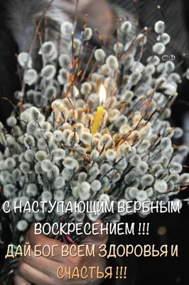 Вербное Воскресенье. Праздник. Поздравление. Открытка. Картинка. |  Открытки, Поздравительные открытки, Праздничные открытки