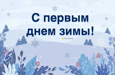 Открытка с Первым Днём Зимы, зимним лесом и стихами • Аудио от Путина,  голосовые, музыкальные