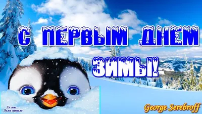 С первым днём зимы! ❄☃️ | TikTok