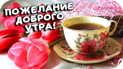 Картинки "С Добрым Утром и Хорошего Дня!" (461 шт.)