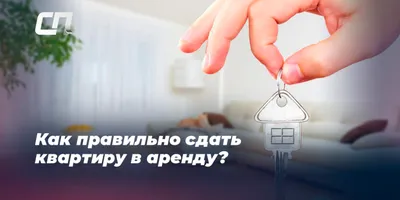 Как снять квартиру удаленно: советы и лайфхаки для будущих арендаторов -  7Дней.ру