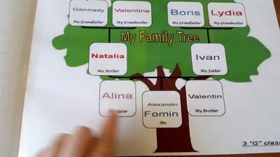 Family Tree Drawing png download - 2730*2888 - Free Transparent Family Tree  png Download. - CleanPNG / KissPNG