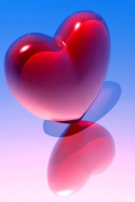 Сердце Любовь Счастье - Бесплатное изображение на Pixabay - Pixabay