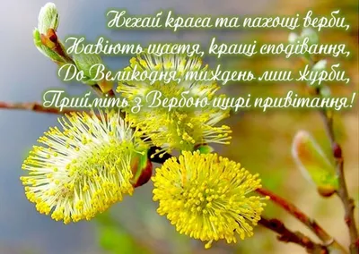 Народна Воля » 21 квітня – ВЕРБНА НЕДІЛЯ