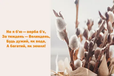 Вербна неділя: привітання у віршах, листівках та прозі ✓ ВЕСТИ