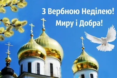 Вербна неділя – за тиждень буде Великдень! » Профспілка працівників освіти  і науки України