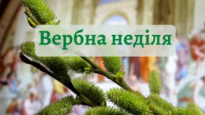 Вербна неділя або Вхід Господній у Єрусалим: історія свята, звичаї, народні  прикмети та, що не можна в цей день. - ВСВІТІ