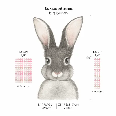 Заяц | Tiny Bunny Wiki | Fandom