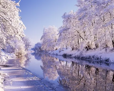 Зимняя природа картинки - 67 фото