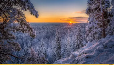 Зима#горы #деревья #снег в 2023 г | Пейзажи, Живопись, Зима