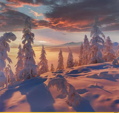 Картинки украина, горы, карпаты, отдых, зима, природа, леса, красиво - обои  1280x1024, картинка №128635